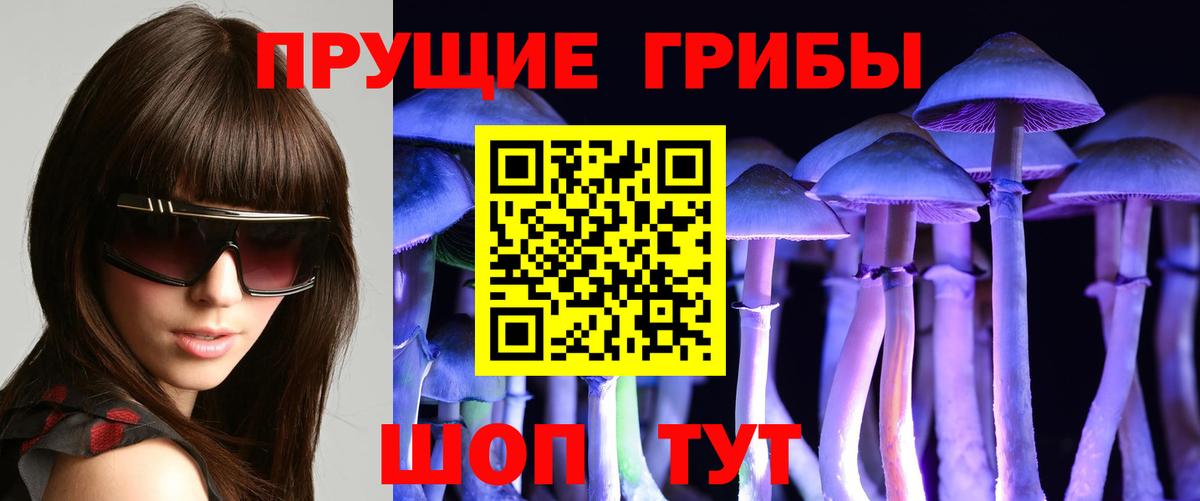 Псилоцибиновые грибы мухоморы Свободный