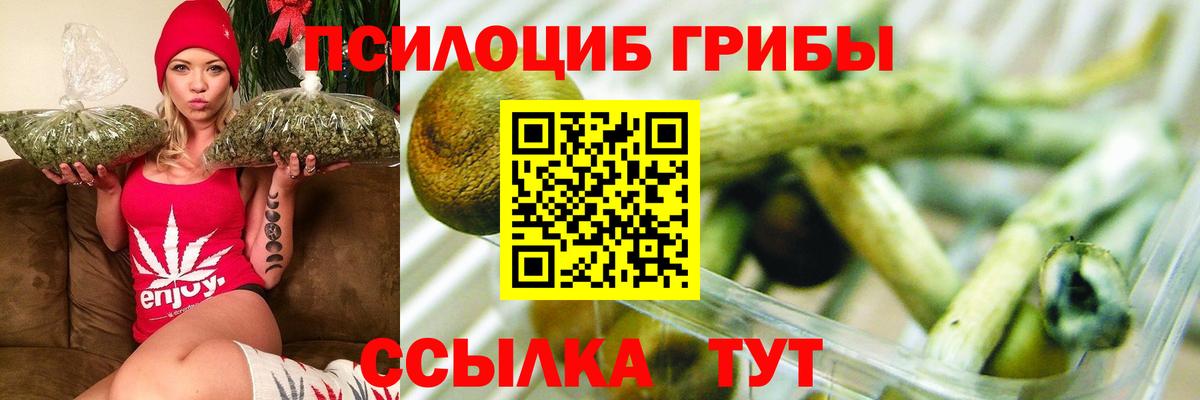Свободный  Галлюциногенные грибы MAGIC MUSHROOMS  Вход с VPN  Псилоцибиновые грибы Psilocybe 